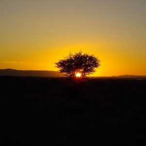 14352344_1116310151792755_2400026524512499558_o