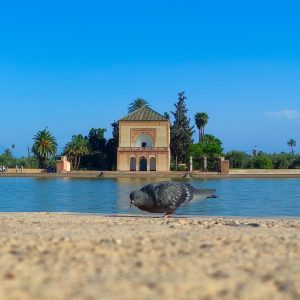 Menara Auf Marrakesch
